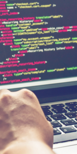 Scratch Programming